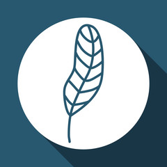 feather icon design , vector illustration