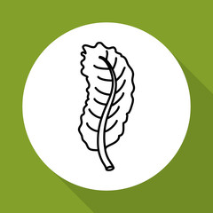 leaf icon design , vector illustration
