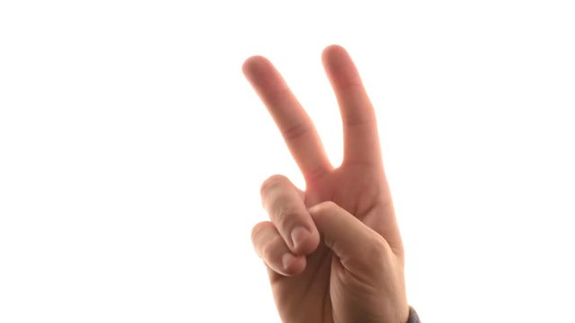 Fingers counting from one to five isolated over white background, adult male hand showing numbers.