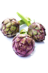 Fresh Artichoke on a white background