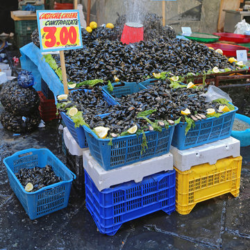 Mussels