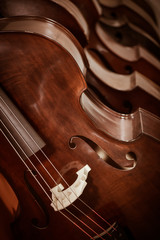 Obraz premium Group of cellos in the workshop violin maker
