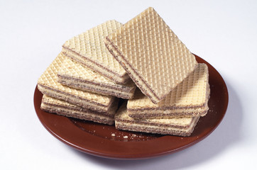 Wafers in plate