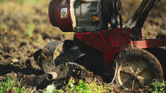 Man preparing garden soil with cultivator tiller, new seeding season on organic home vegetable farm