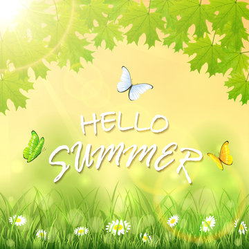 Hello Summer and butterflies