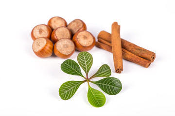 hazelnuts photo illustration