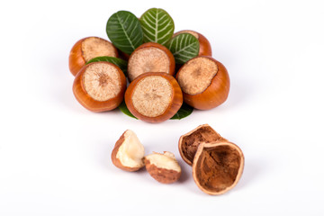 hazelnuts photo illustration