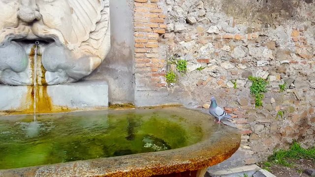 Rome, Orange Garden