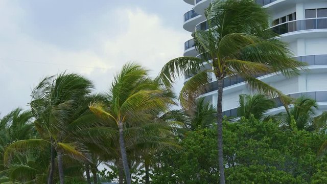 miami beach living apartment building palms 4k florida usa

