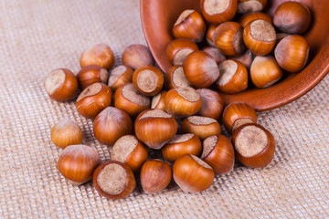 hazelnuts photo illustration