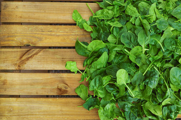 Leaves of fresh green spinach