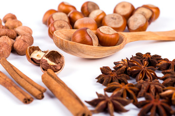 hazelnuts photo illustration