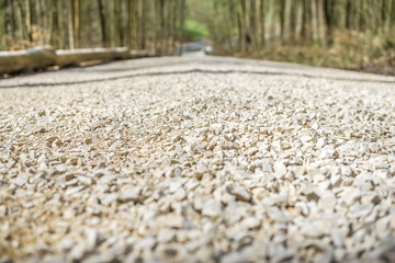 Wald Schotterweg