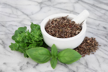 Basil Herb Varieties