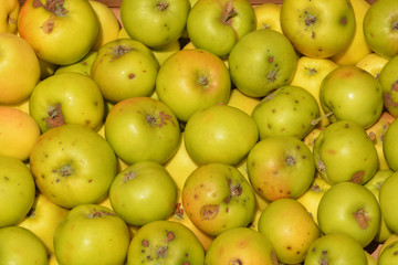 manzanas verdes