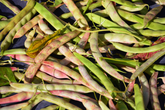 productos de la huerta