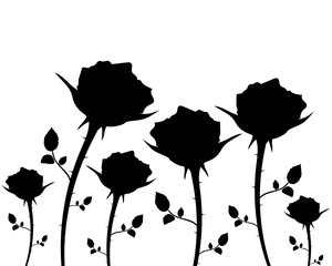 silhouettes of flowers roses on a white background