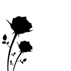 silhouette of two roses on a white background