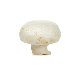Champignon mushroom isolated on white