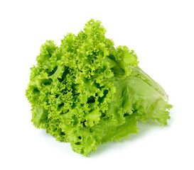 Lettuce isolated on the white background
