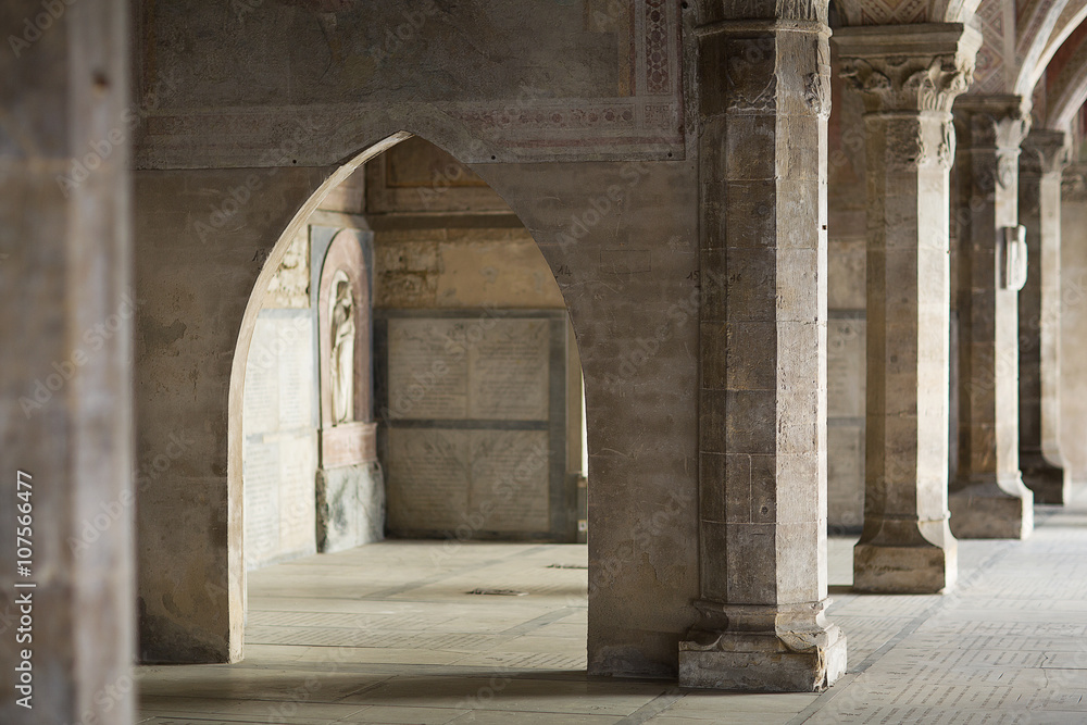 Wall mural cloisters of santa maria novella