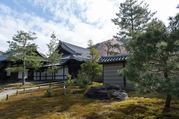 Fototapeta premium 高台寺