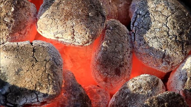 glowing barbecue coal

