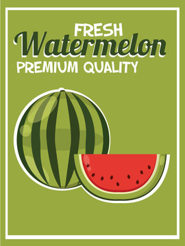 Retro Fresh Food Poster Design. Watermelon Isolated Vector. Cartoon Illustration