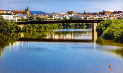 Obraz premium River Guadalquivir Bridge Cordoba Spain