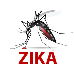 mosquito vector,sign