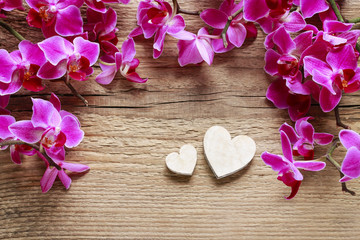 Beautiful pink orchid flowers on wood