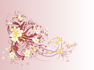 Obraz na płótnie Canvas Curly pattern of flowers and petals on a pink background