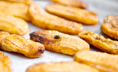 Fly swarm around fry food exposed to sunlight. Disease risk. Close up and macro.