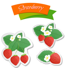 Food labels or stickers set strawberry