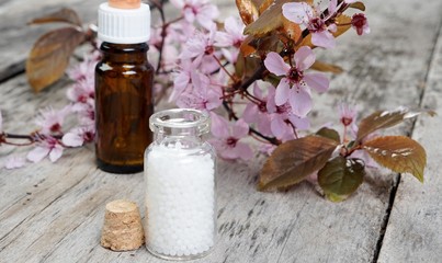 Globuli mit Bachblüten und Kirschblüten auf rustikalem Tisch 