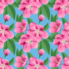 Apple blossoms seamless pattern