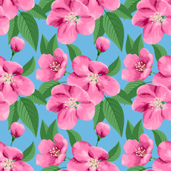 Apple blossoms seamless pattern