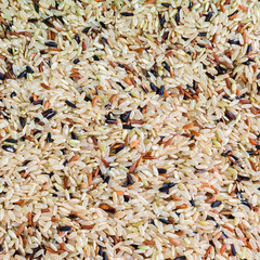 brown rice texture