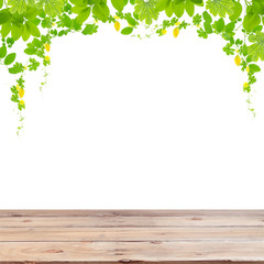 Naklejka na ściany i meble Wood floor with Green leaves frame isolated on white background.