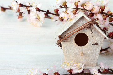 flowering branch of peach lies near the birdhouse on a white wooden background