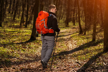 Active healthy man hiking in beautiful forest