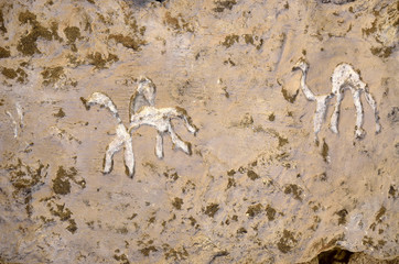 timna national park