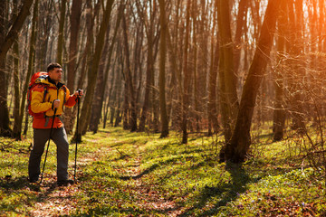 Active healthy man hiking in beautiful forest