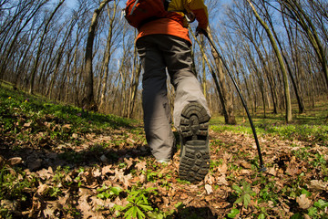 Close up of hiker shoes boots and hiking sticks poles
