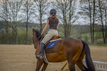 Woman Practicing on Hunter Jumper Horse in Ring