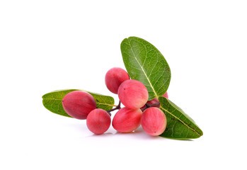 Carissa carandas Linn,Karanda, Carunda on white background