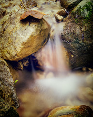 blurred water (9) and autumn leaf