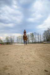 Woman Practicing on Hunter Jumper Horse in Ring