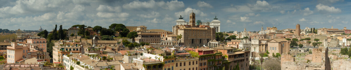Fototapeta na wymiar Panorama of Rome as seen from the Palatine hill