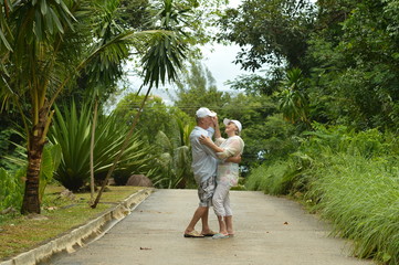 Fototapeta na wymiar Elderly couple standing embracing in a tropical forest